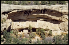 mesaverde0366