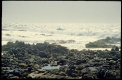 17miledrive0598