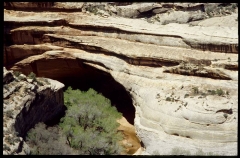 naturalbridges0385