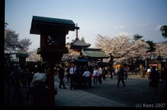 japan126