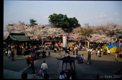 japan132