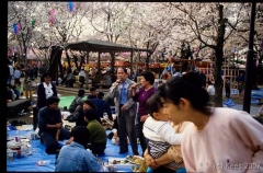 japan141