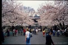 japan152