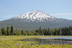 Mt Bachelor