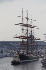 Sedov