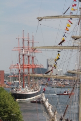 Sedov