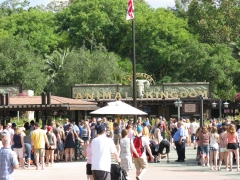 Animal Kingdom