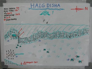 Halg_Disha_map