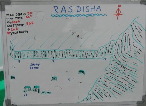 Ras_Disha_map